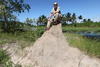 kuntner's picture